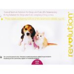 Thumbnail of post image 042