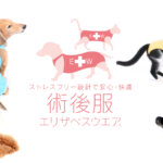 Thumbnail of post image 027