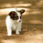 Thumbnail of post image 043