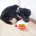 Thumbnail of post image 158